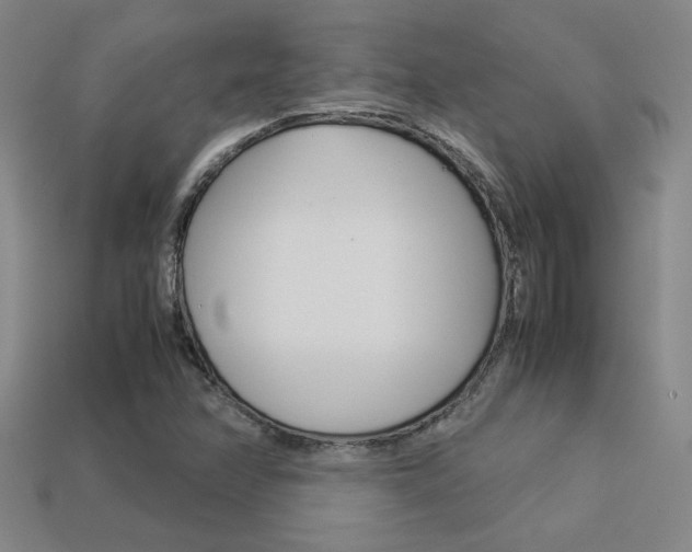 X0000113351358200909151018