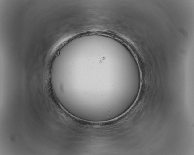 X0000113351359200909151018