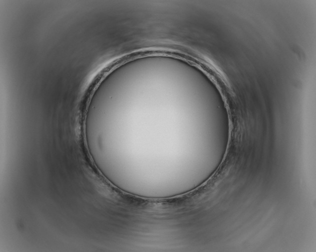 X0000113351360200909151018