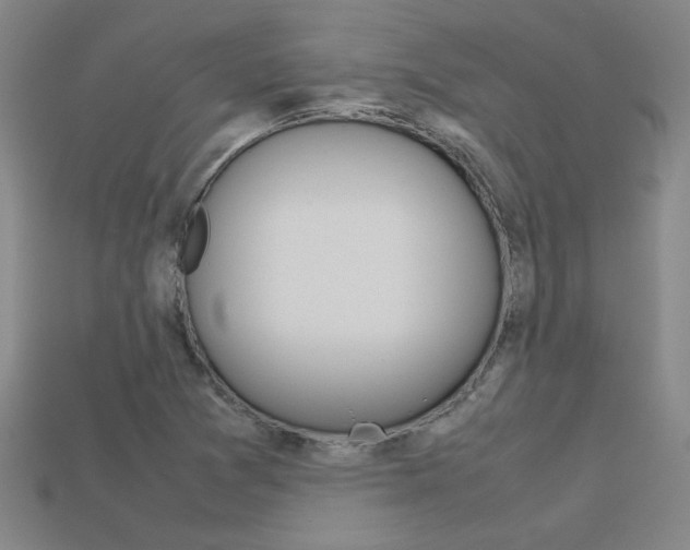 X0000113351361200909151018