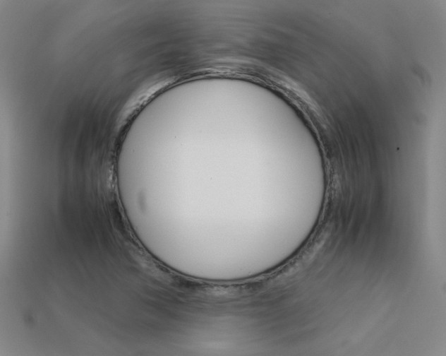 X0000113351362200909151018