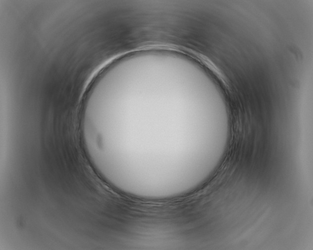 X0000113351364200909151018