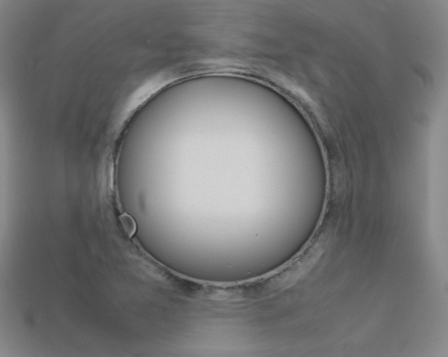 X0000113351365200909151017