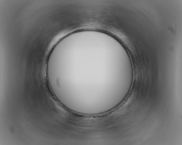 X0000113351366200909151017