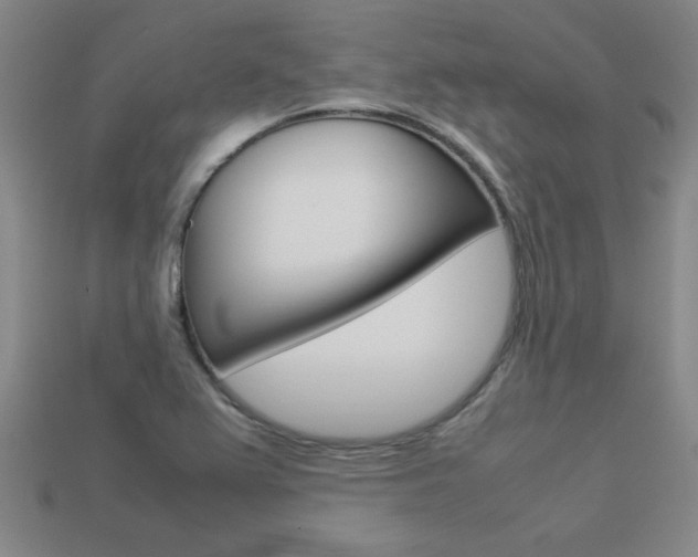 X0000113351367200909151017
