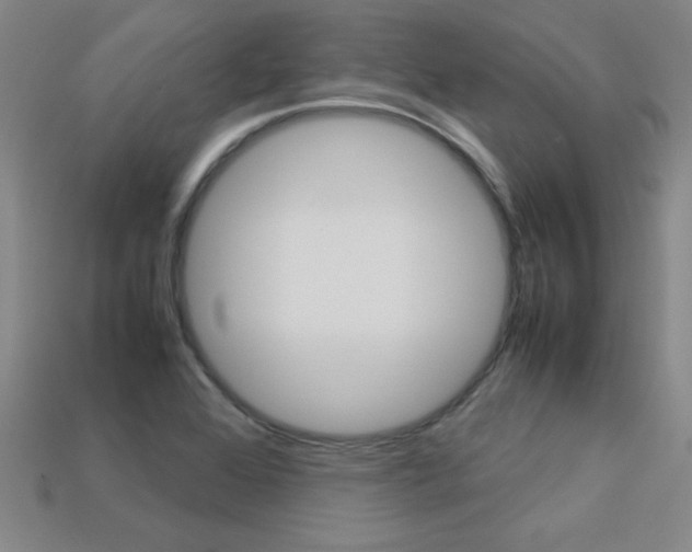 X0000113351368200909151017