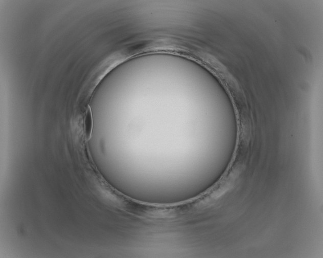 X0000113351369200909151017