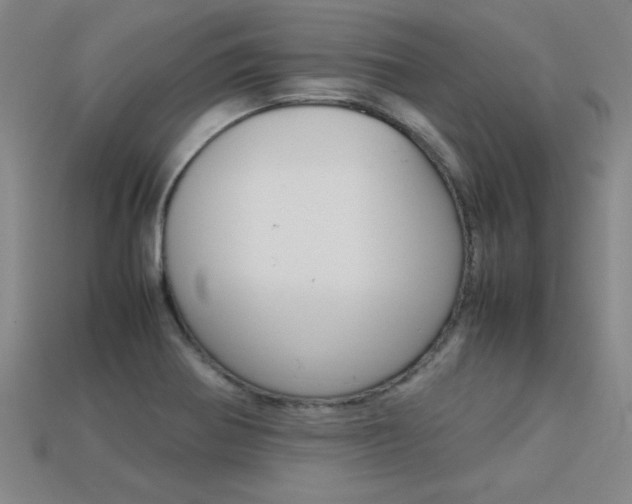 X0000113351370200909151017