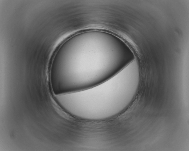 X0000113351372200909151017
