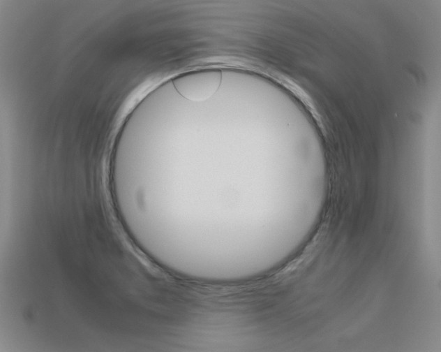 X0000113351373200909151017