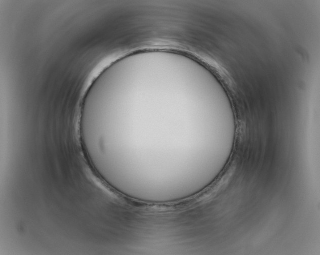 X0000113351374200909151017