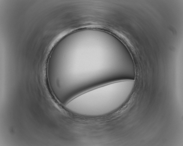 X0000113351375200909151017