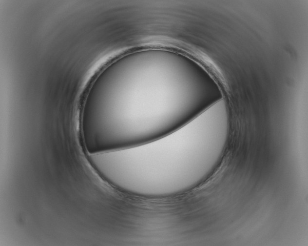 X0000113351376200909151017