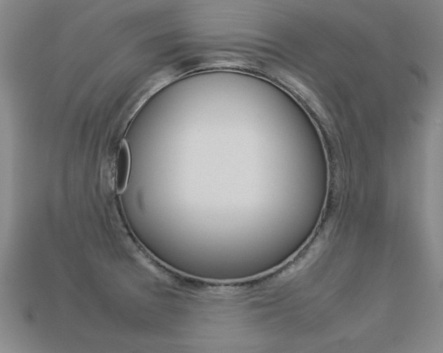 X0000113351377200909151017