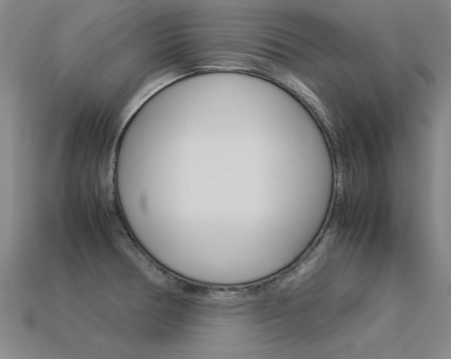 X0000113351378200909151017