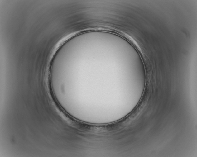 X0000113351379200909151017