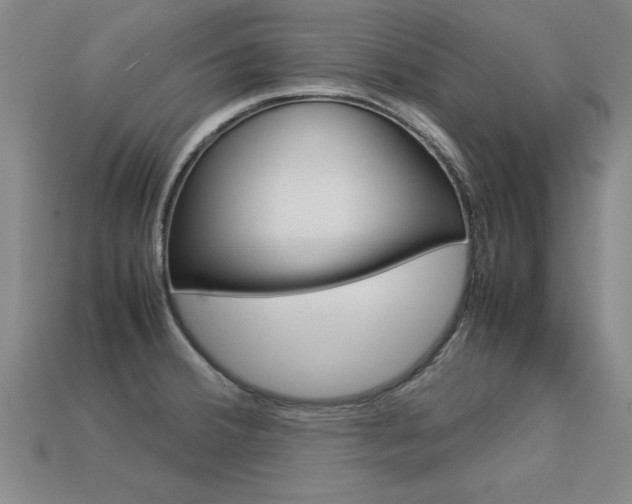 X0000113351380200909151017