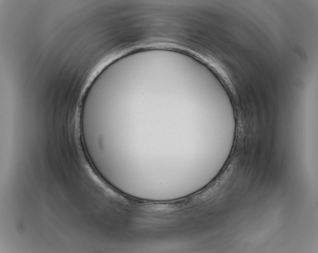 X0000113351382200909151017