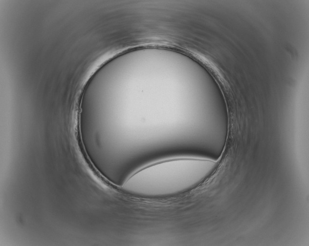 X0000113351383200909151017