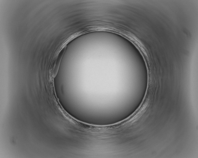 X0000113351385200909151017