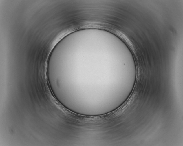 X0000113351386200909151017