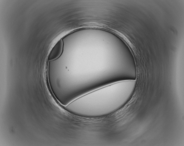 X0000113351387200909151017