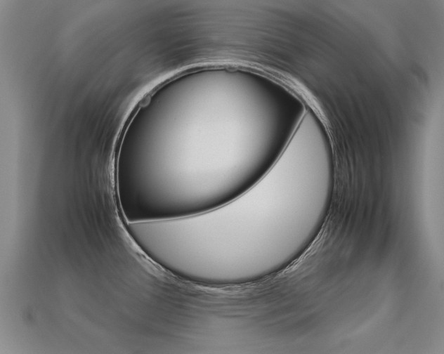 X0000113351388200909151017