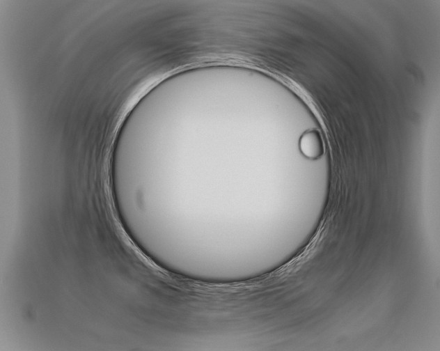 X0000113351389200909151017