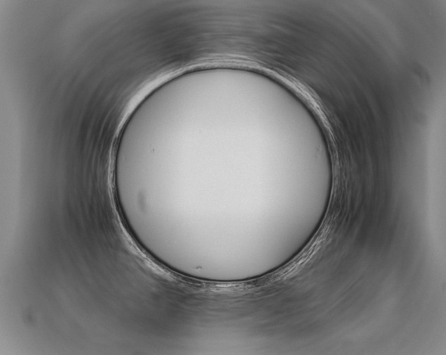 X0000113351390200909151017