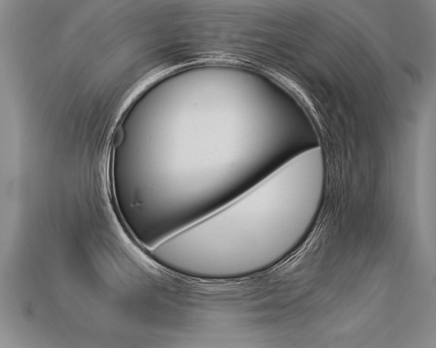 X0000113351391200909151017