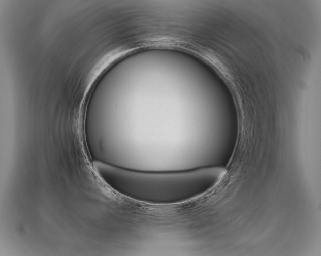 X0000113351392200909151017