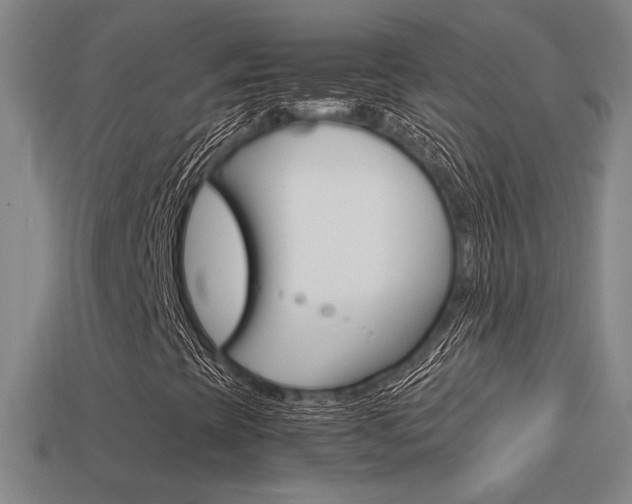 X0000113351393200909151017