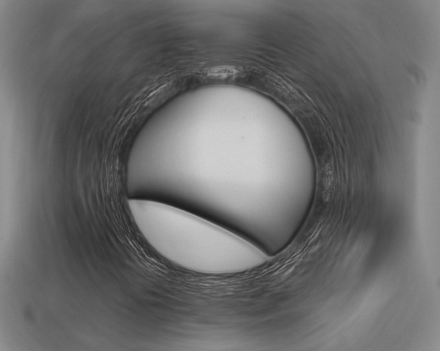 X0000113351394200909151017