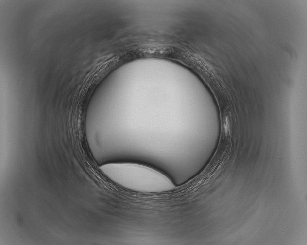 X0000113351396200909151017