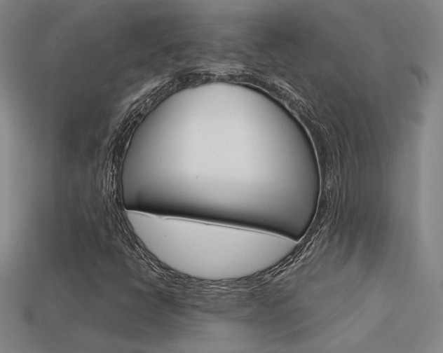 X0000113351398200909151017