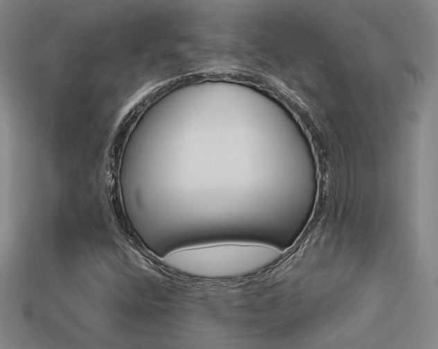 X0000113351400200909151017