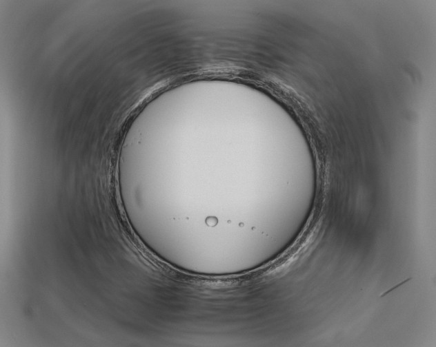 X0000113351401200909151017