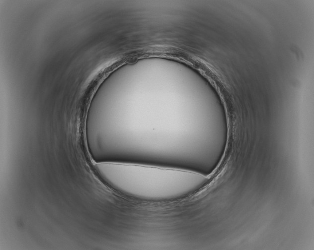 X0000113351402200909151017