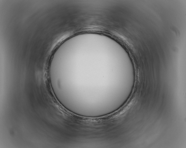 X0000113351405200909151017