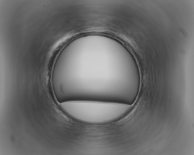 X0000113351406200909151017