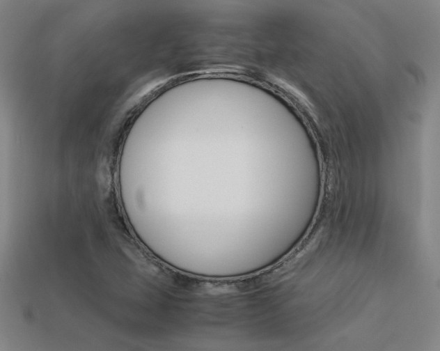 X0000113351407200909151017