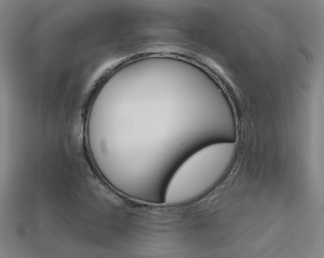 X0000113351408200909151017