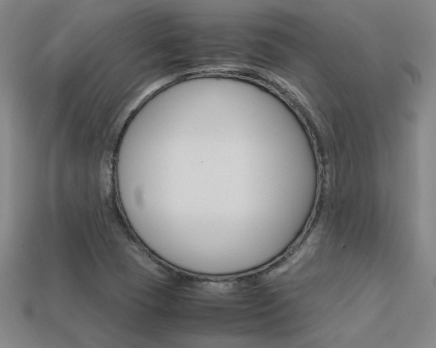 X0000113351409200909151017