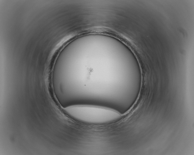 X0000113351410200909151017