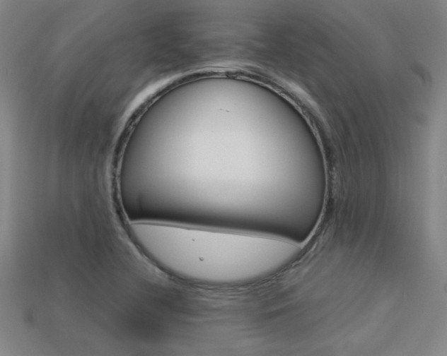 X0000113351412200909151017