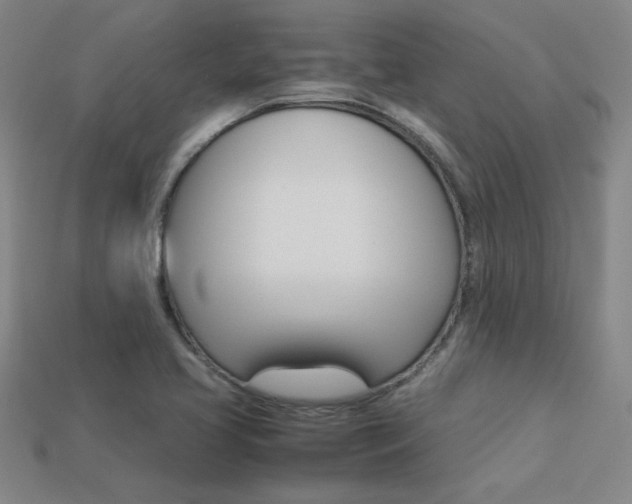 X0000113351413200909151017