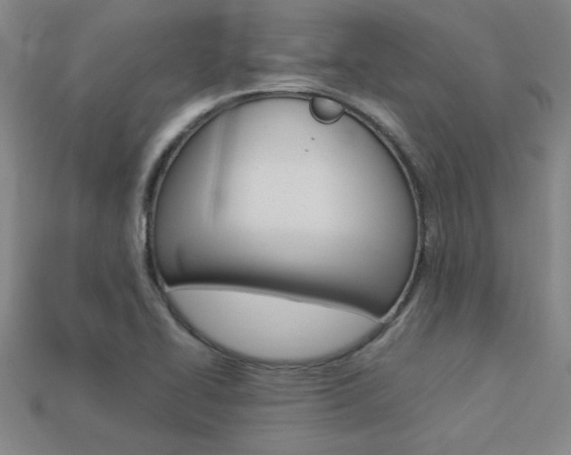 X0000113351414200909151017