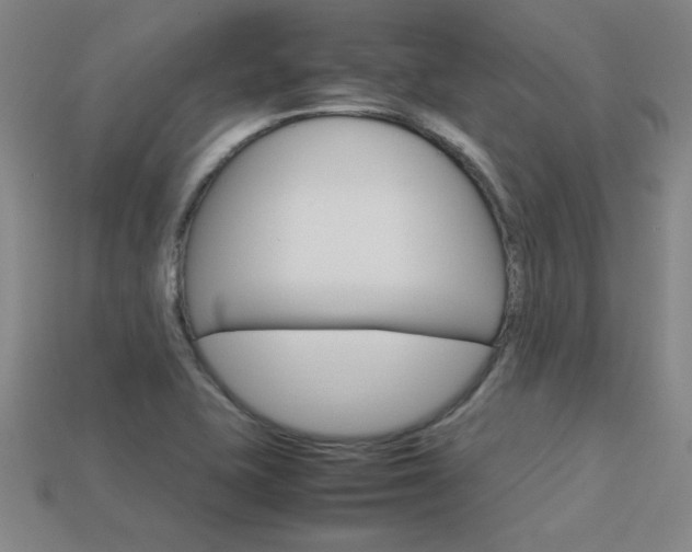 X0000113351415200909151017