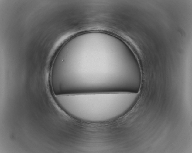 X0000113351416200909151017