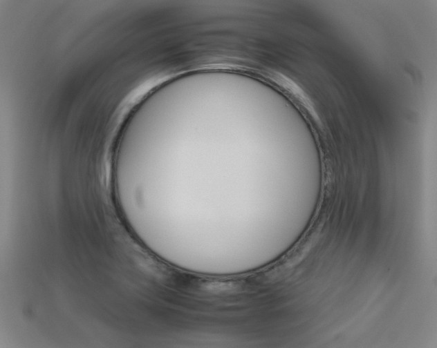X0000113351419200909151017
